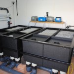 ERIC units have replaced the old filtration and getting great resuts