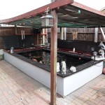 Koi Pond with pergola for overhead protection