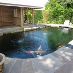 Stunning koi pond using ERIC Filtration units