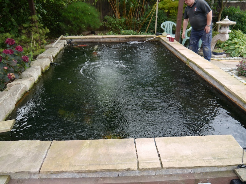 Neils koi pond using ERIC Filters