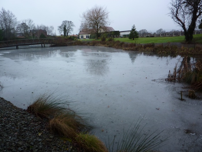 Pond Winter