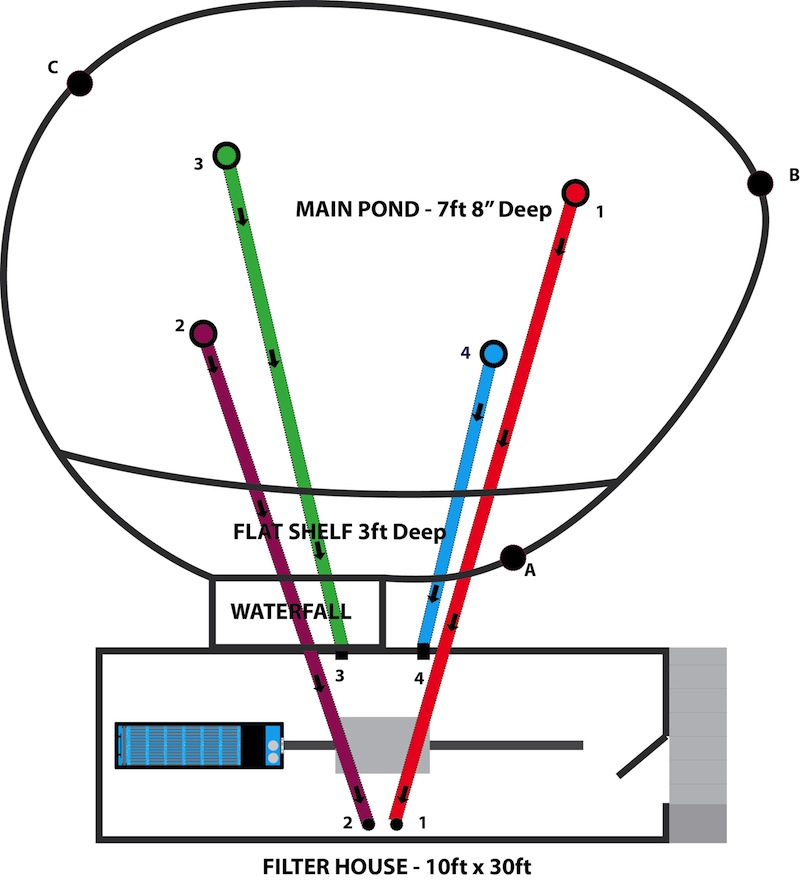 Peter Waddington Pond Diagram