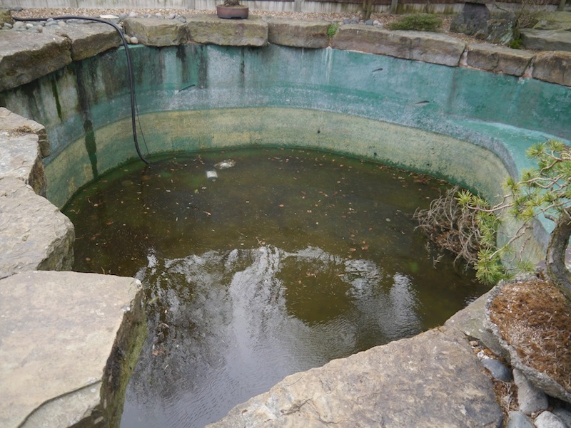 Mucky at the bottom of the pond