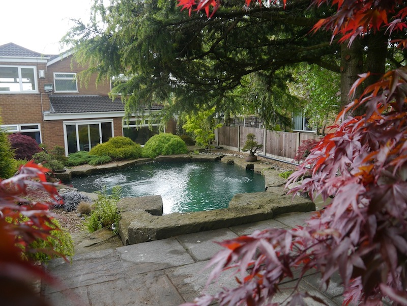 Pond after being filled