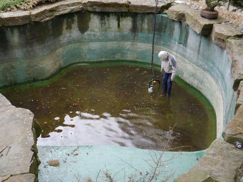 Emptying the pond using pump