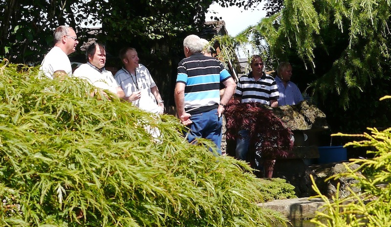 Visitors to the pond