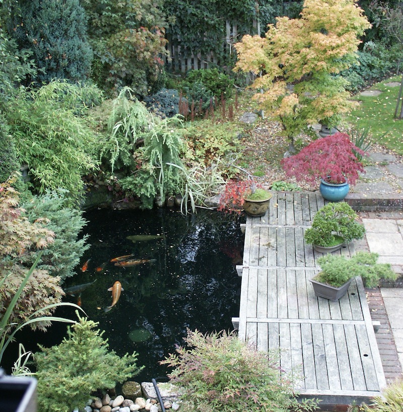 Picture of Koi pond with new ERIC Four pond filtration