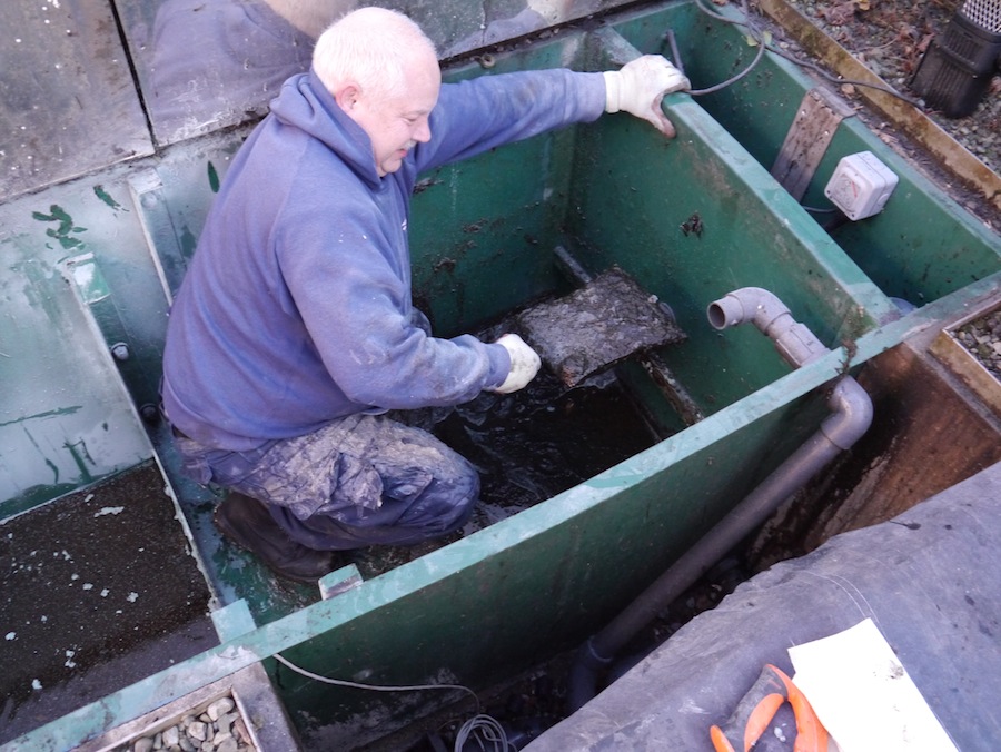 Importance of wearing gloves to remove waste from koi pond filter