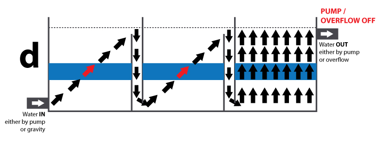 Starts to fall down the transfer port into the last chamber