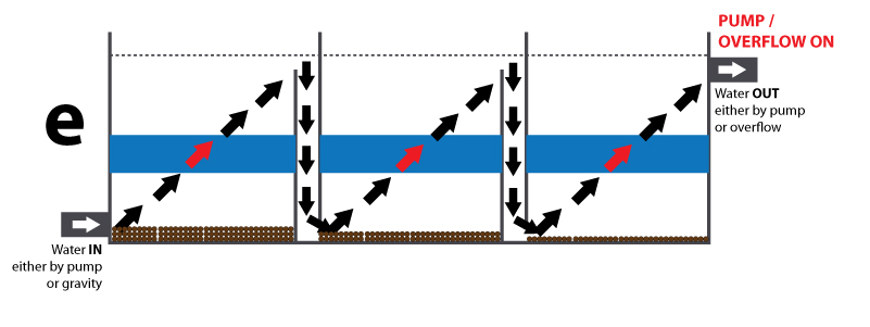 Water now enters the third chamber and rises perfectly