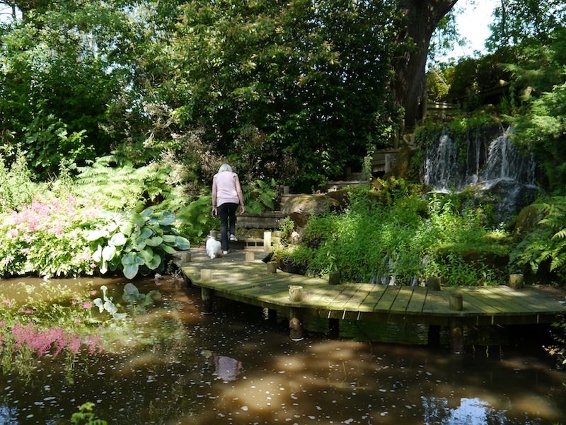 Large Water Feature