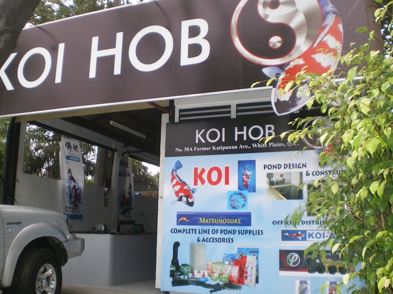 Koi Hob ERIC Distributor