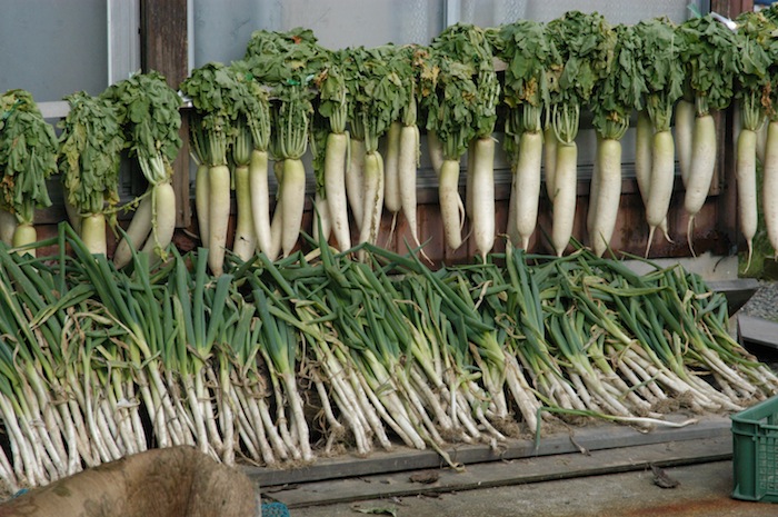 daikon