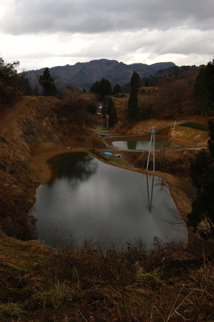 late autumn mud ponds