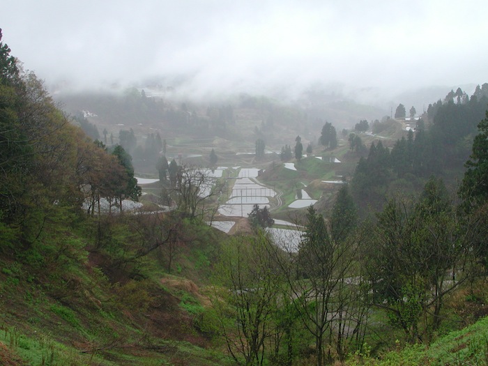 mud ponds spring