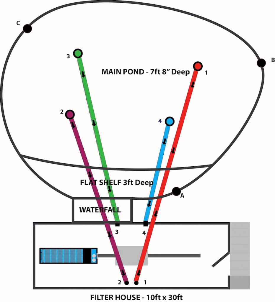 Peter Waddington Pond Diagram-v6