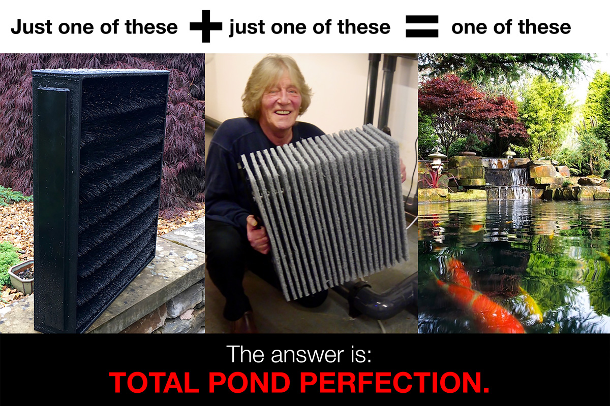 total-pond-perfection